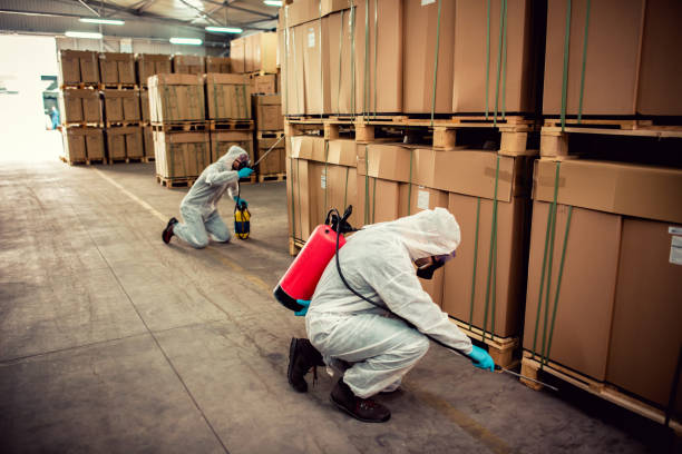 Best Pest Removal Services  in Freeport, FL