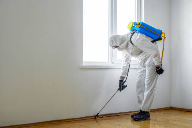 Pest Prevention Services in Freeport, FL