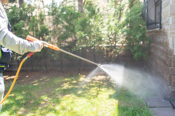 Pest Control Cost in Freeport, FL