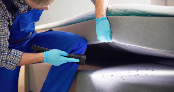 Best Termite Control Services  in Freeport, FL