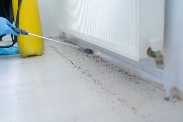 Best Commercial Pest Control Services  in Freeport, FL